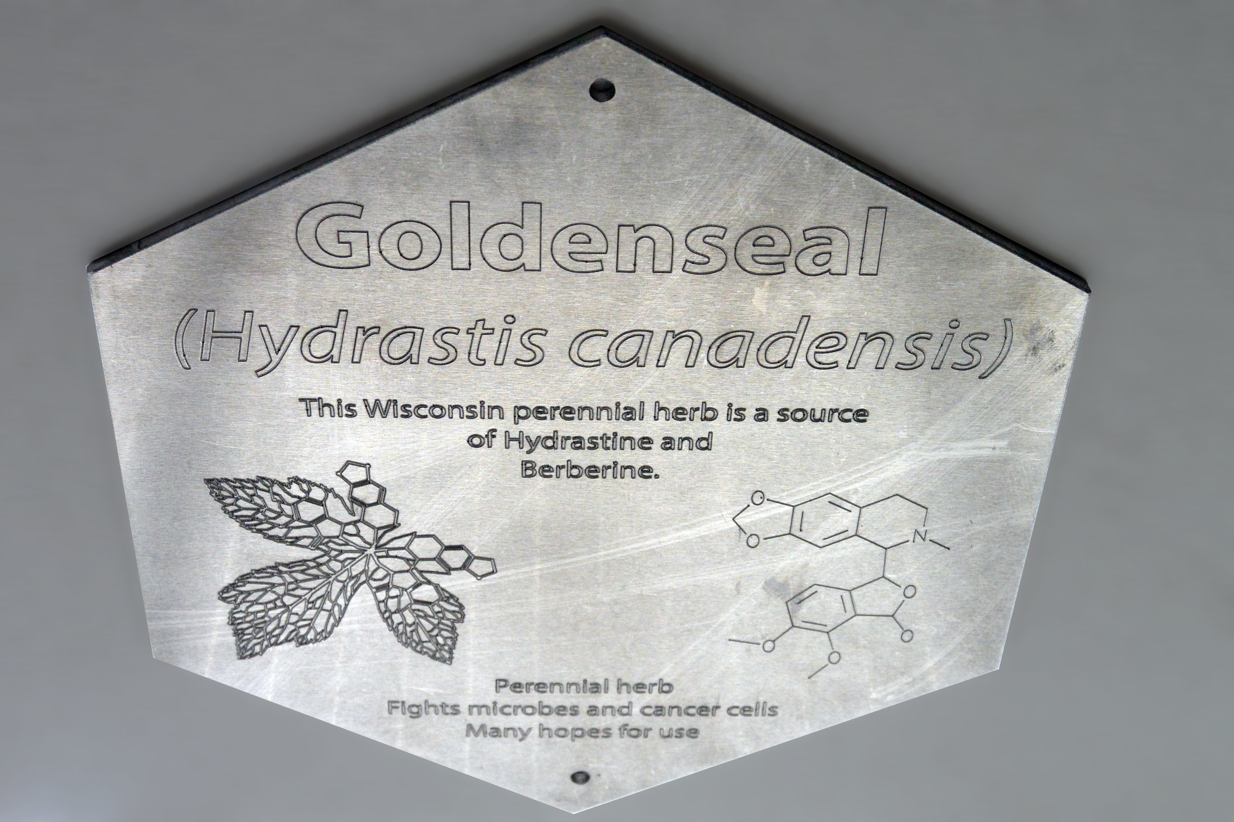 NA Plaque 5 Goldenseal.jpg