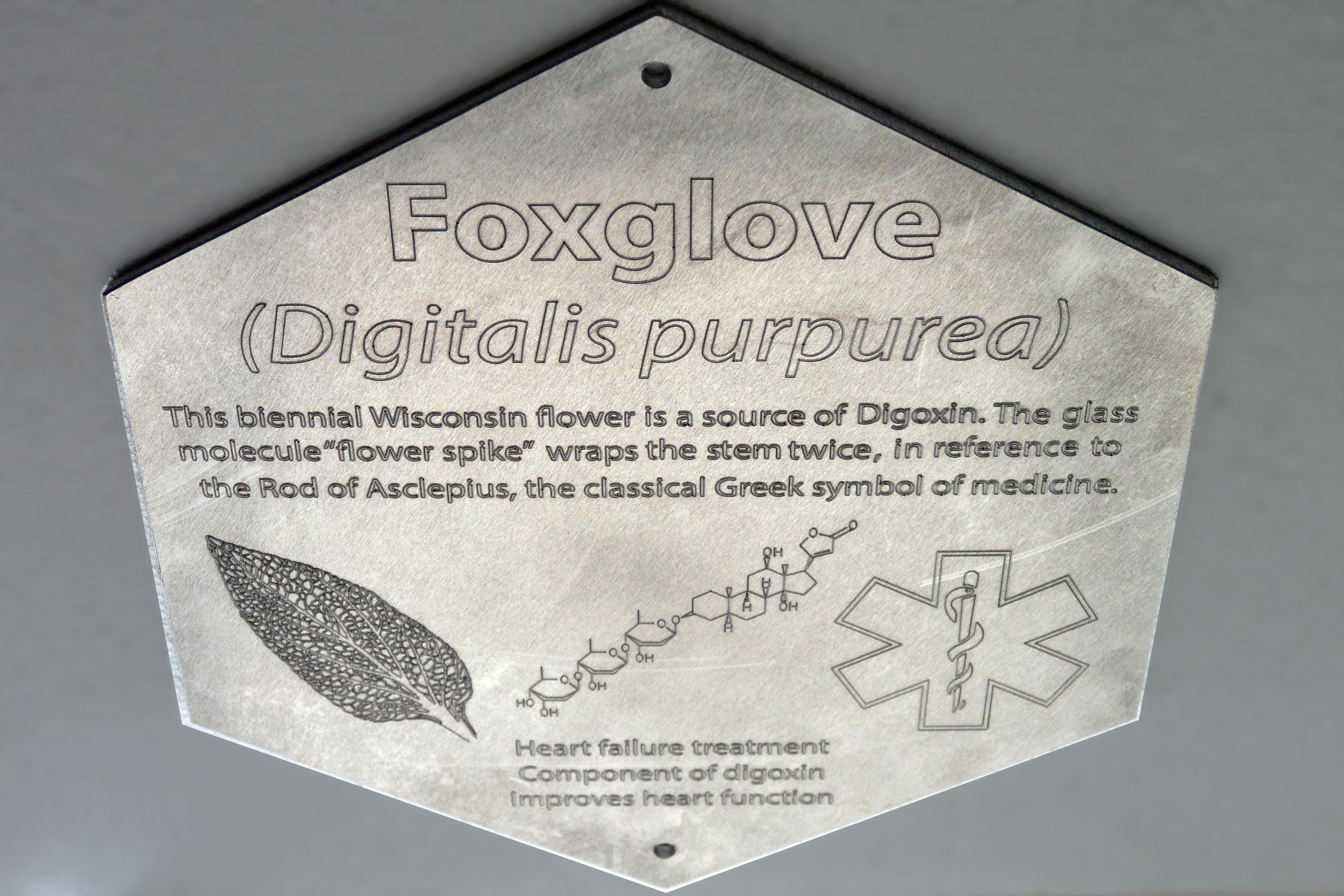 NA Plaque 6 foxglove.jpg