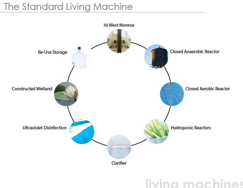 2006_green_research_presentation_Flow_Chart.jpg