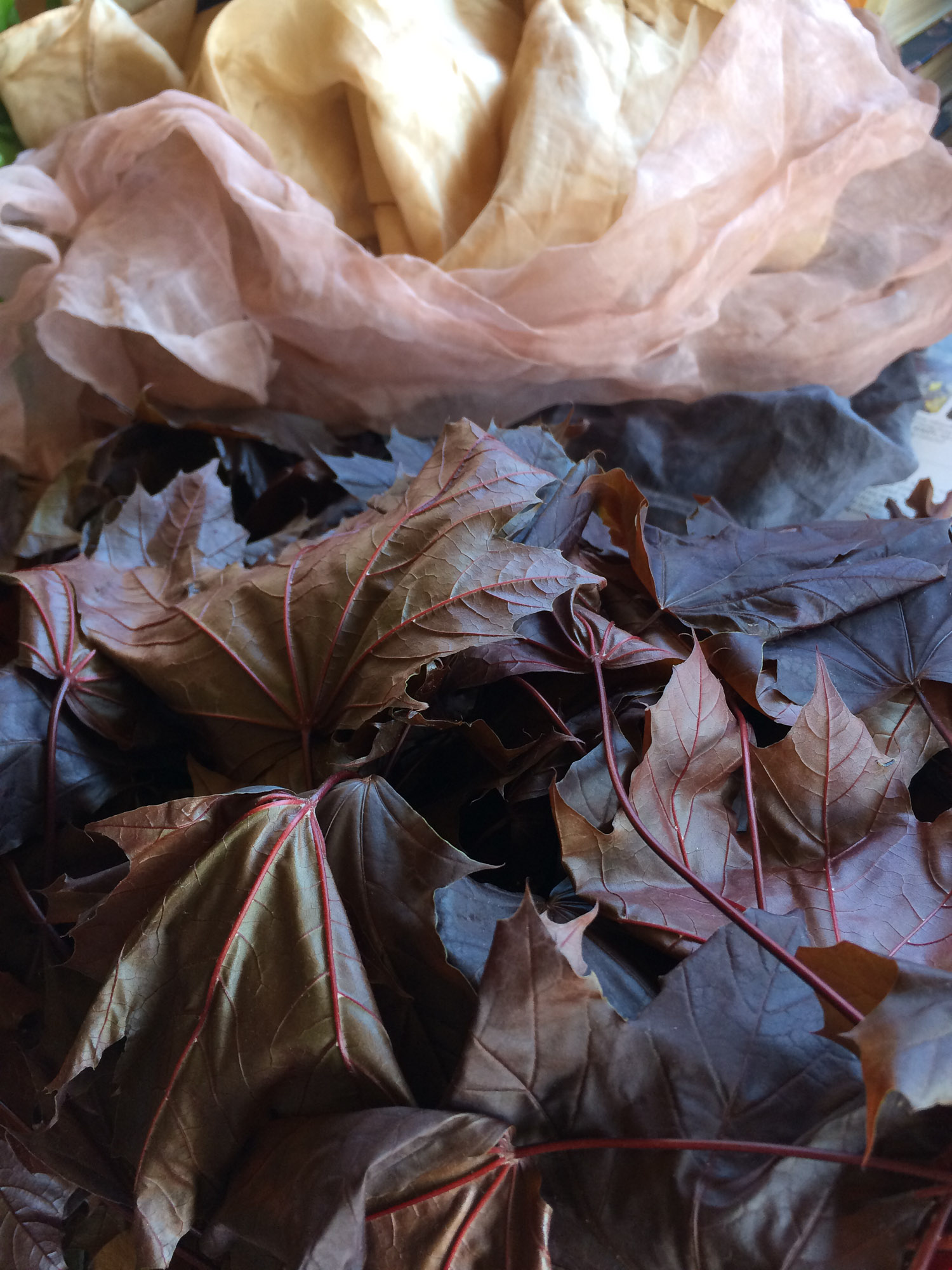 2014Q2_FromScratch-61.jpg