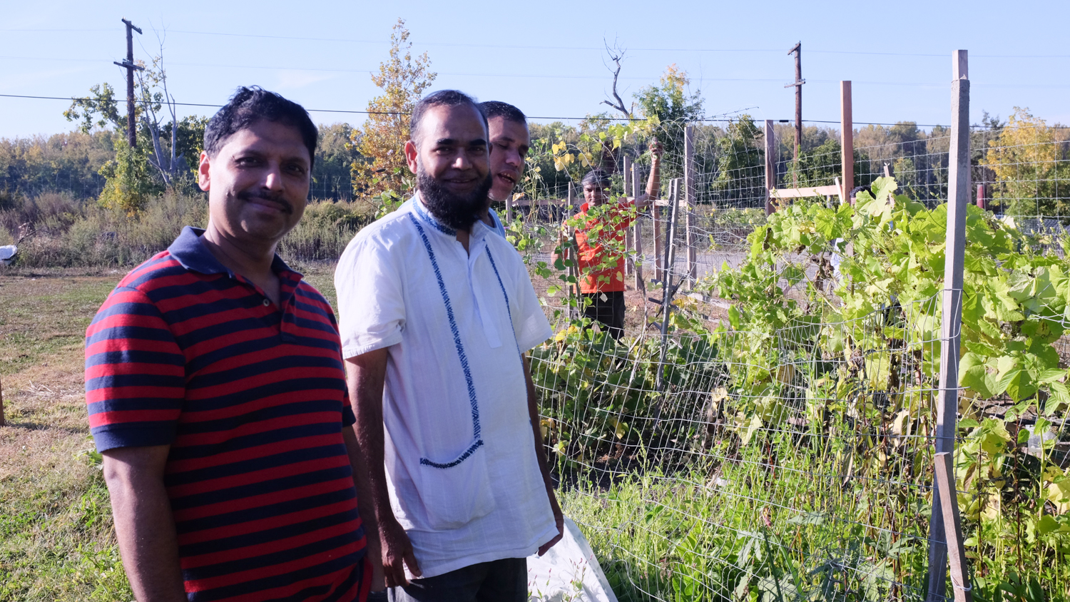 RiverCityGarden_Fall2014-16.jpg