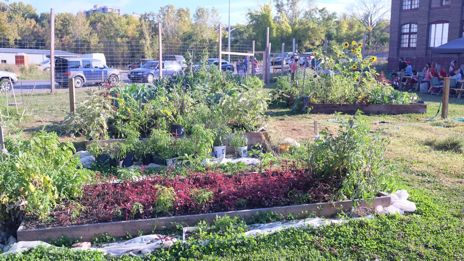 RiverCityGarden_Fall2014-17.jpg