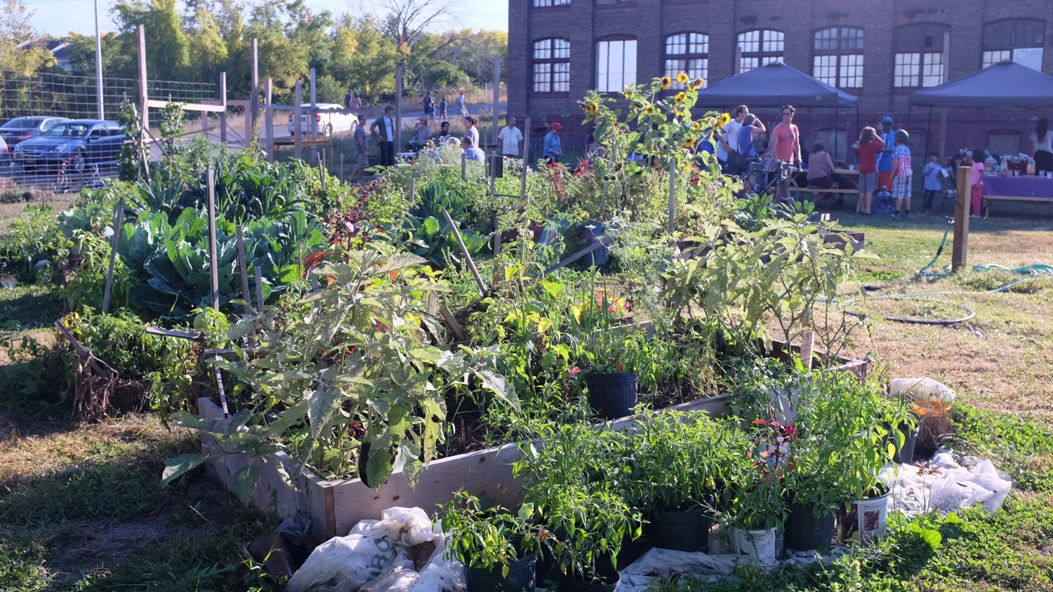 RiverCityGarden_Fall2014-18.jpg