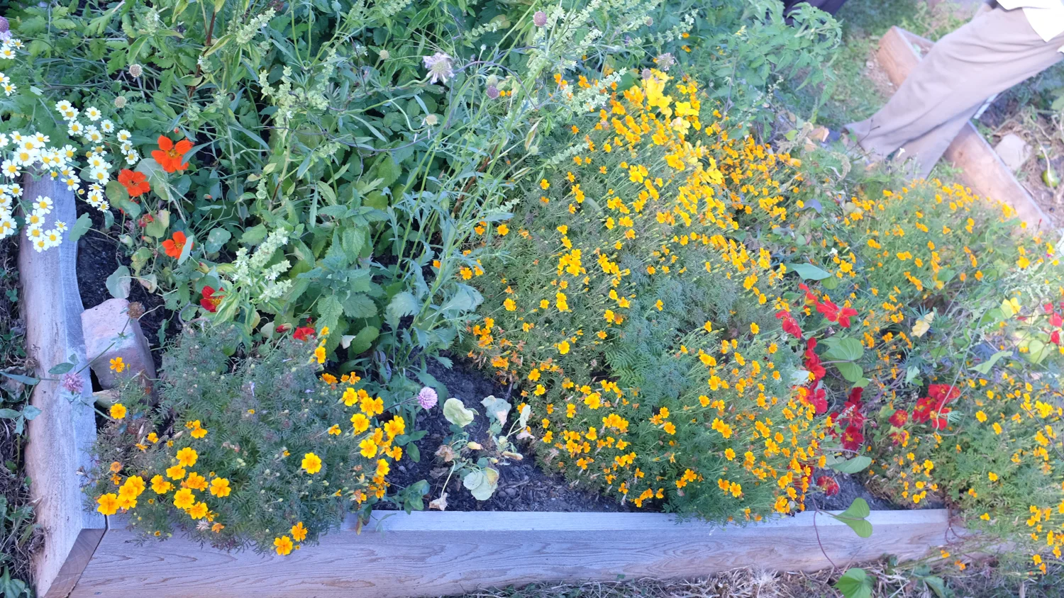 RiverCityGarden_Fall2014-28.jpg