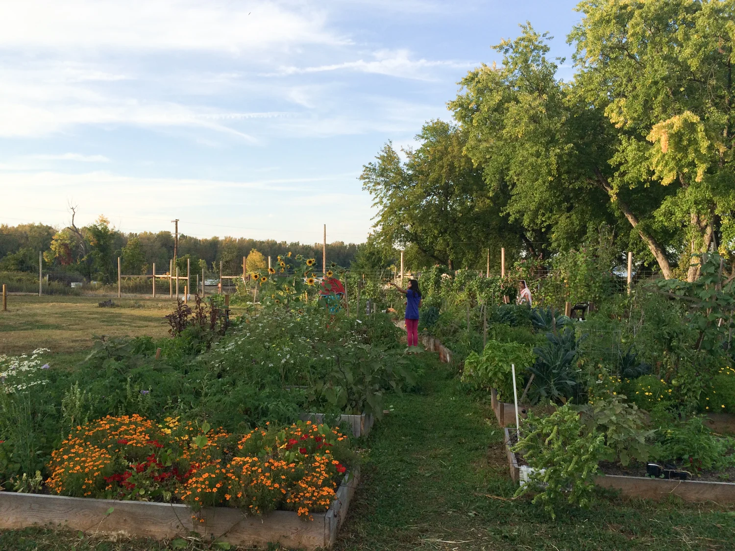 RiverCityGarden_Fall2014-36.jpg