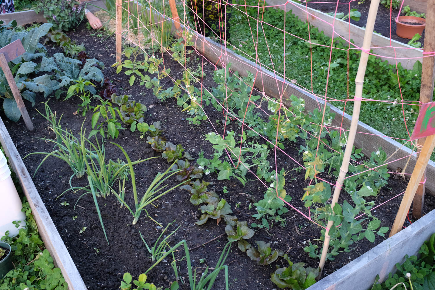RootsRebelsGardenClub-26.jpg
