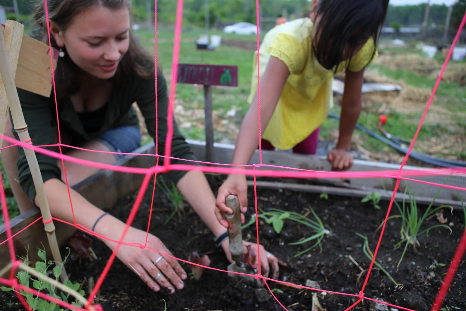 RootsRebelsGardenClub-58.jpg