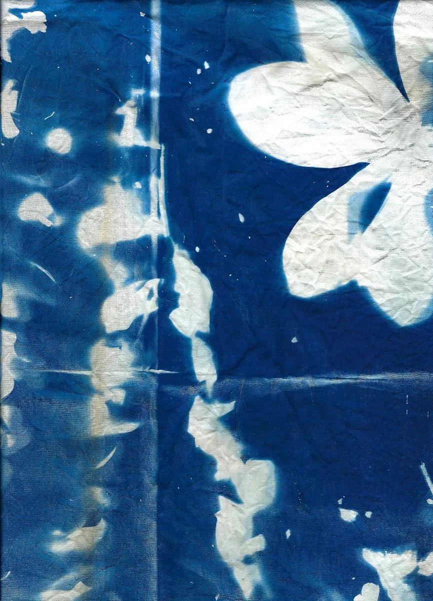 3 Photo_4_4.jpg
