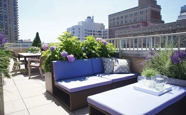 Outdoor space we decorated and styled #dineenarchitecture
.
.
.
.
.
.
.
.
.
#instadesign #instadecor #homestyle #decorating #interiores #designdeinteriores #decorlovers #interiordecor #interiorstyling #interiordecorating #interiorstyle #interiorandho