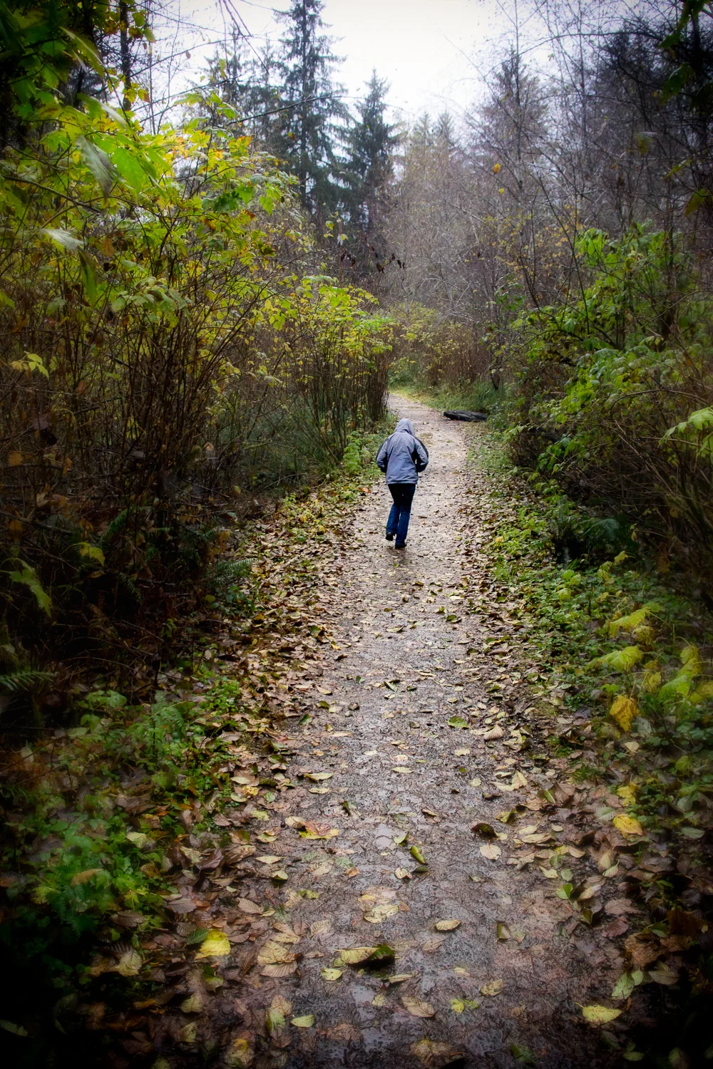 Lake Quinault-20121117 | 0003-A.jpg