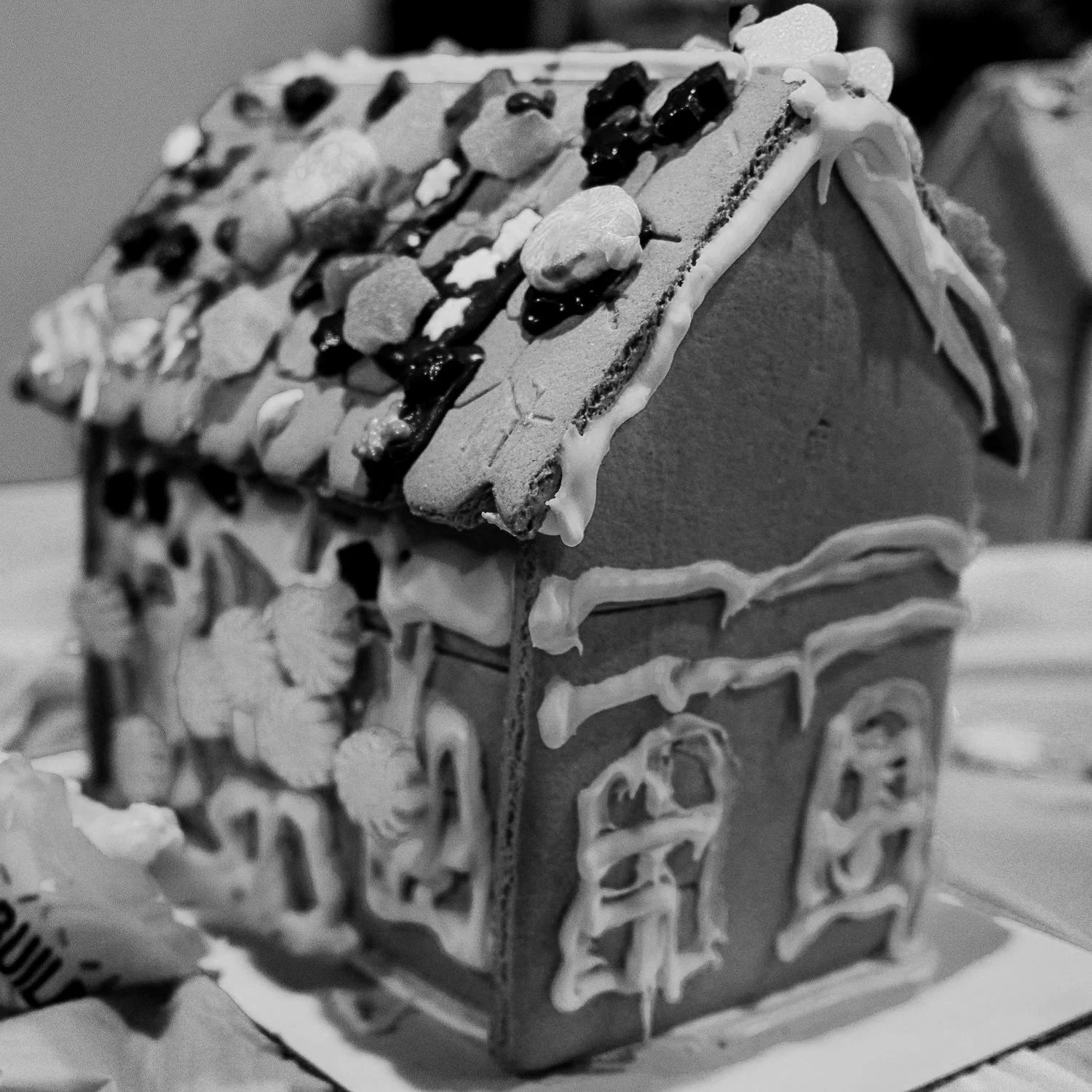 Ginger+Bread+Houses+-20221209+%7C+0260.jpg