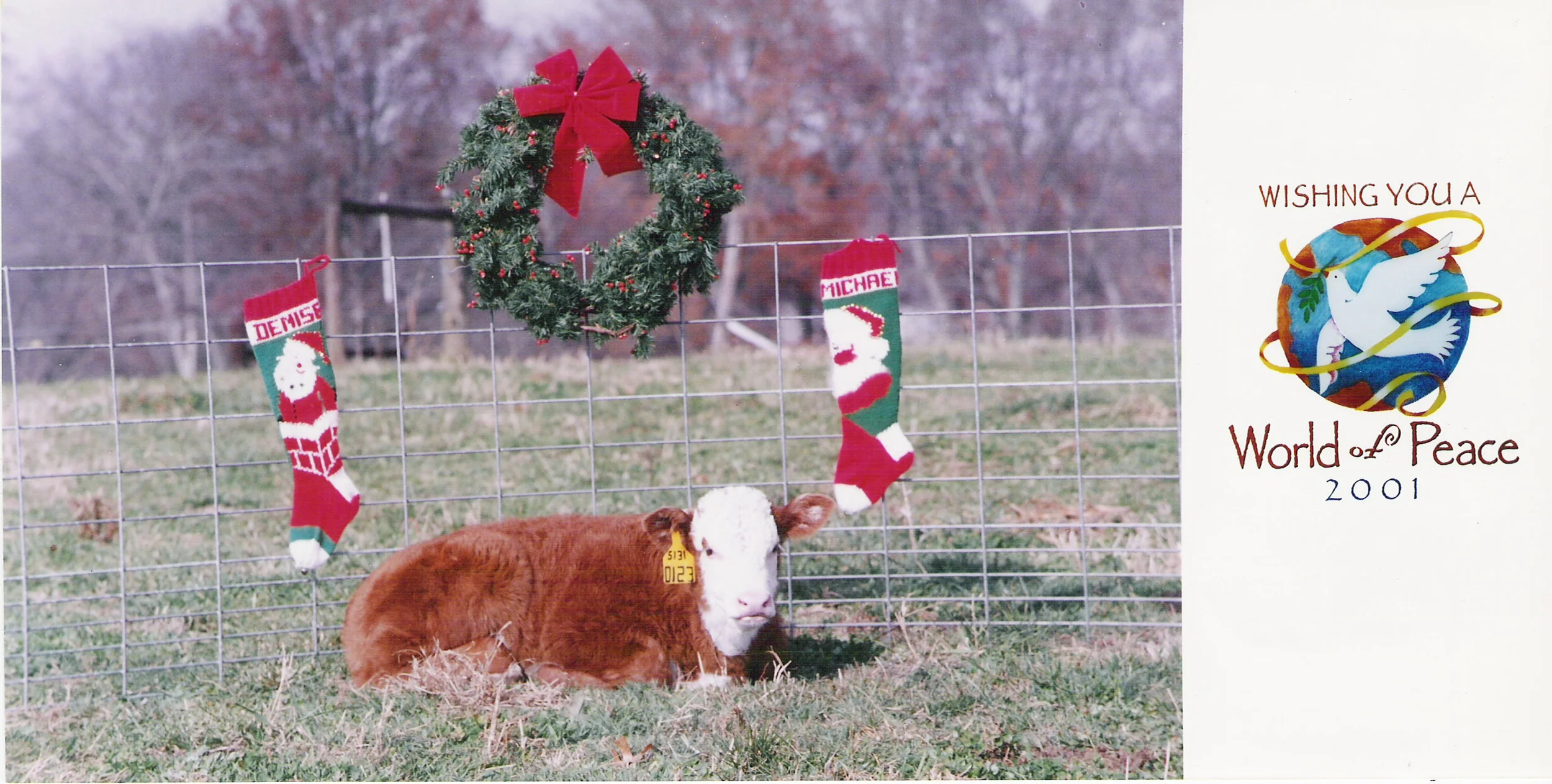 Coley Christmas card 2001