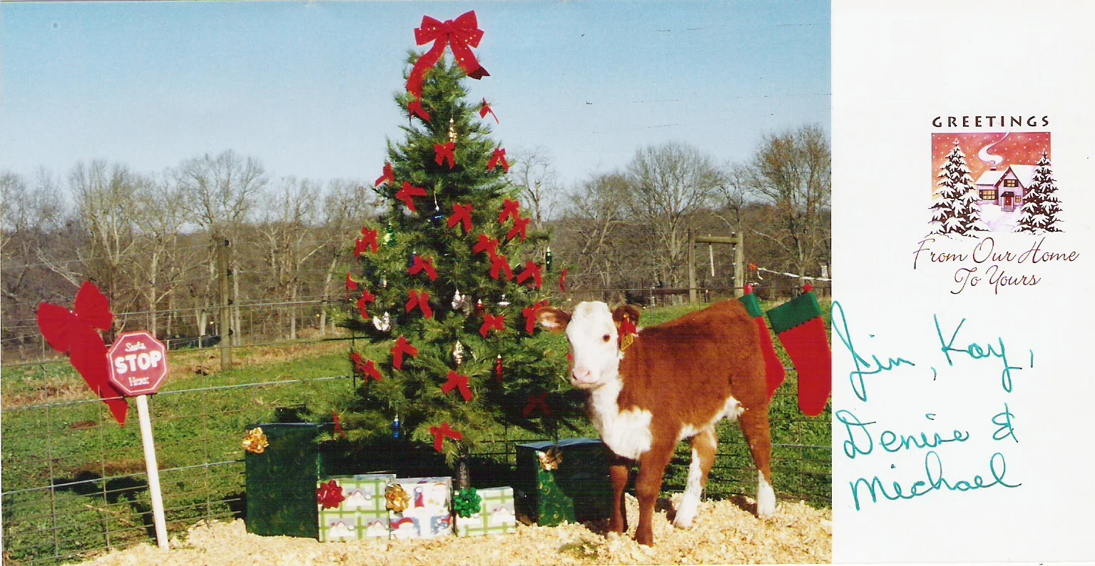 Coley Christmas card 2003