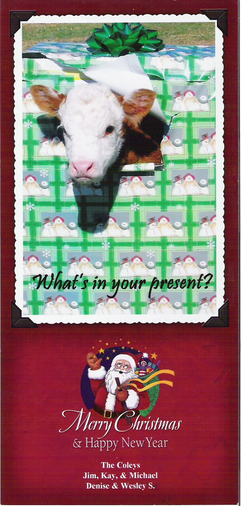 Coley Christmas card 2005