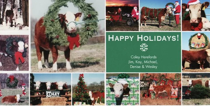 Coley Christmas card 2010