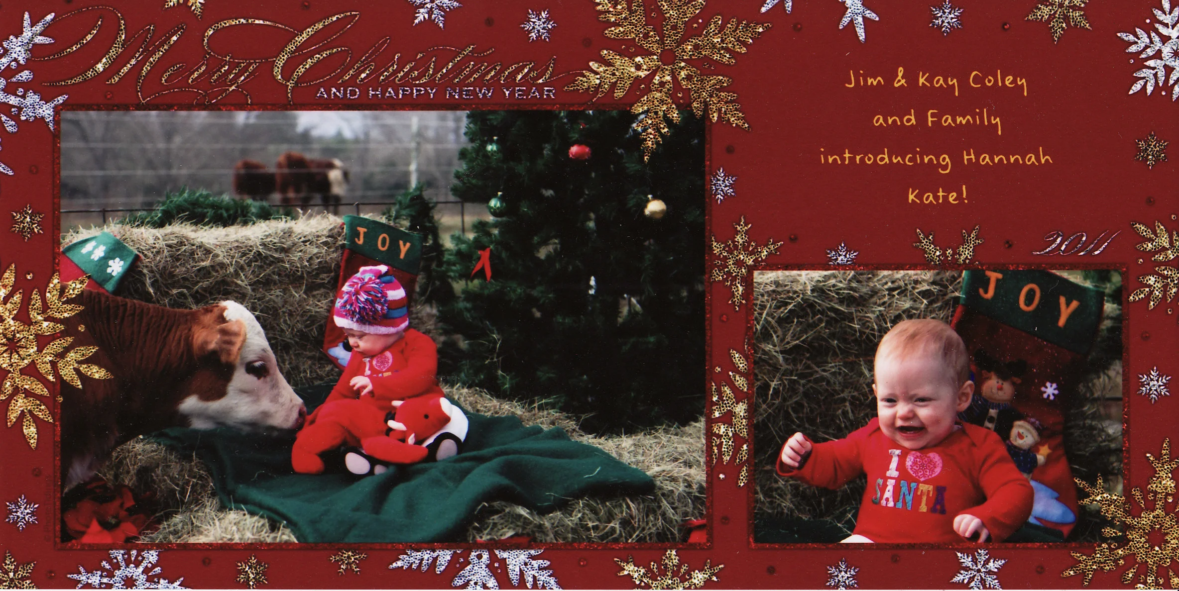 Coley Christmas card 2011