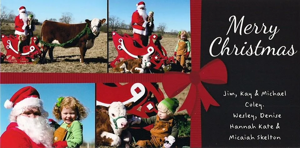 Christmas Card 2013