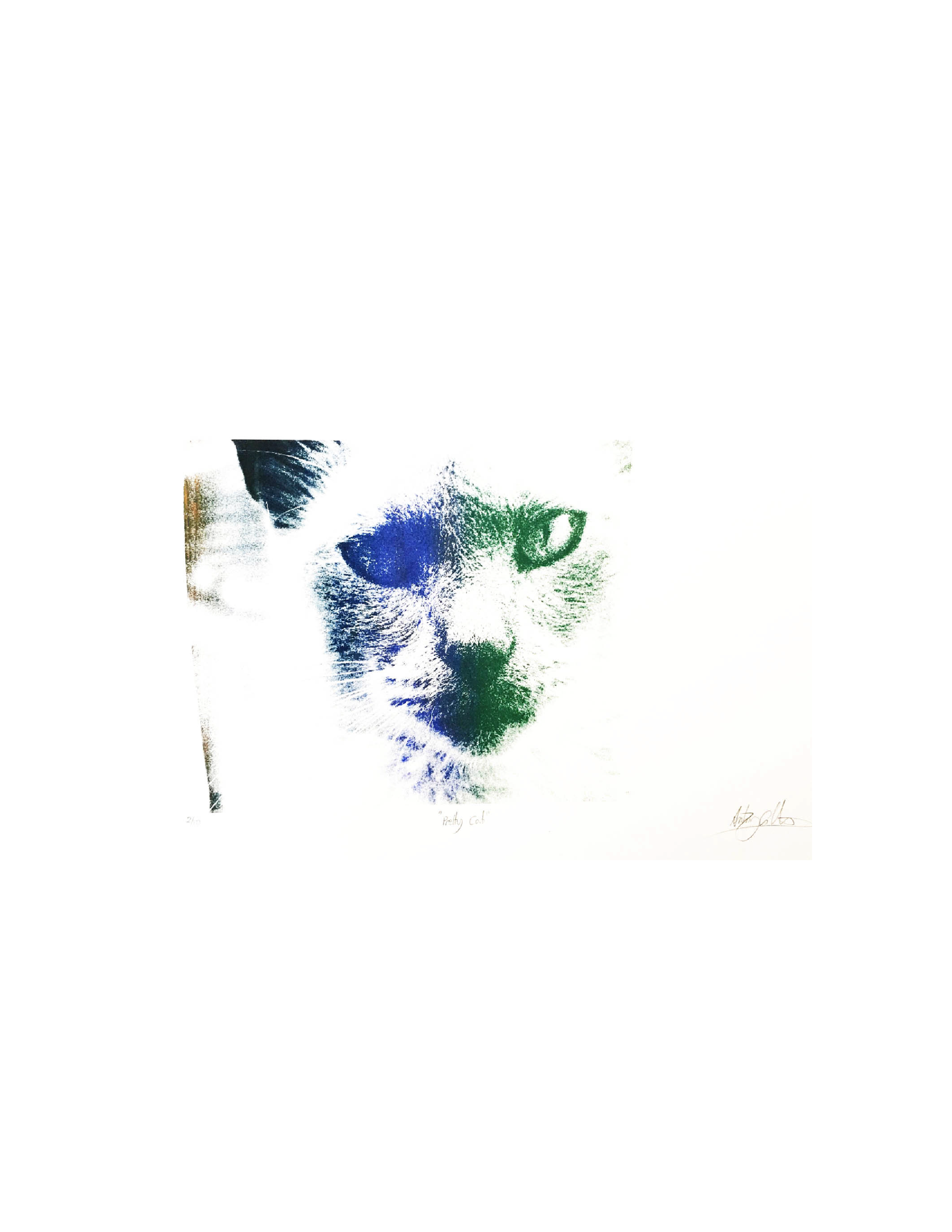 pretty-cat-tonkinese-mink-siamese-screen-print-tony-collins-art-background.png