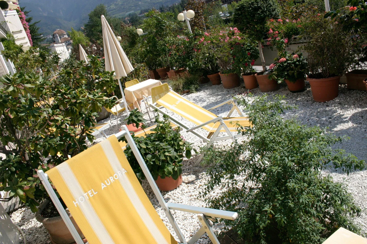 Sonnen-Terrasse