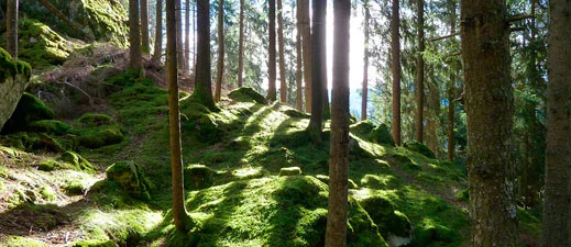 bergwandern-leiteralm.jpg