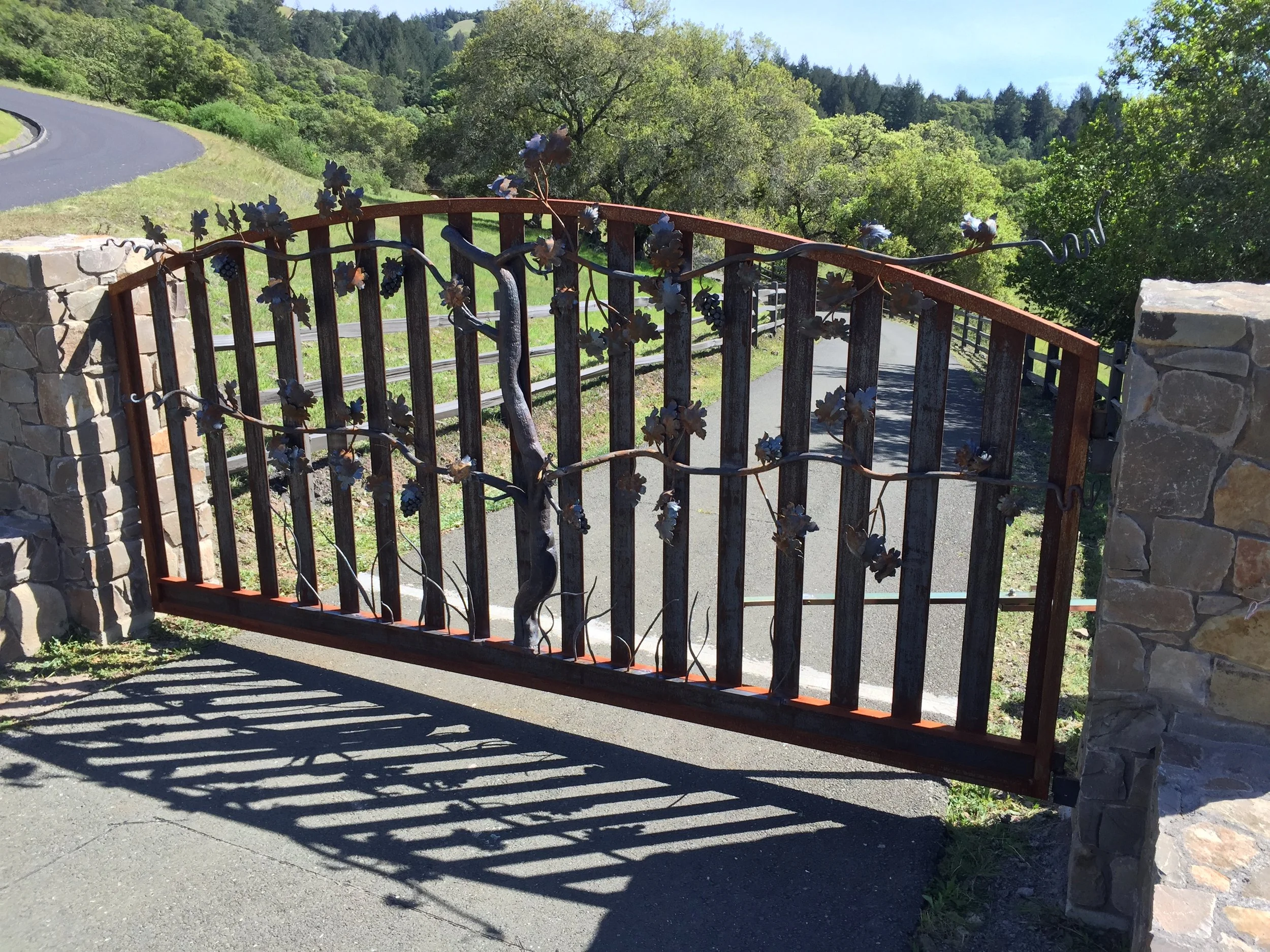Grape Vine Gate