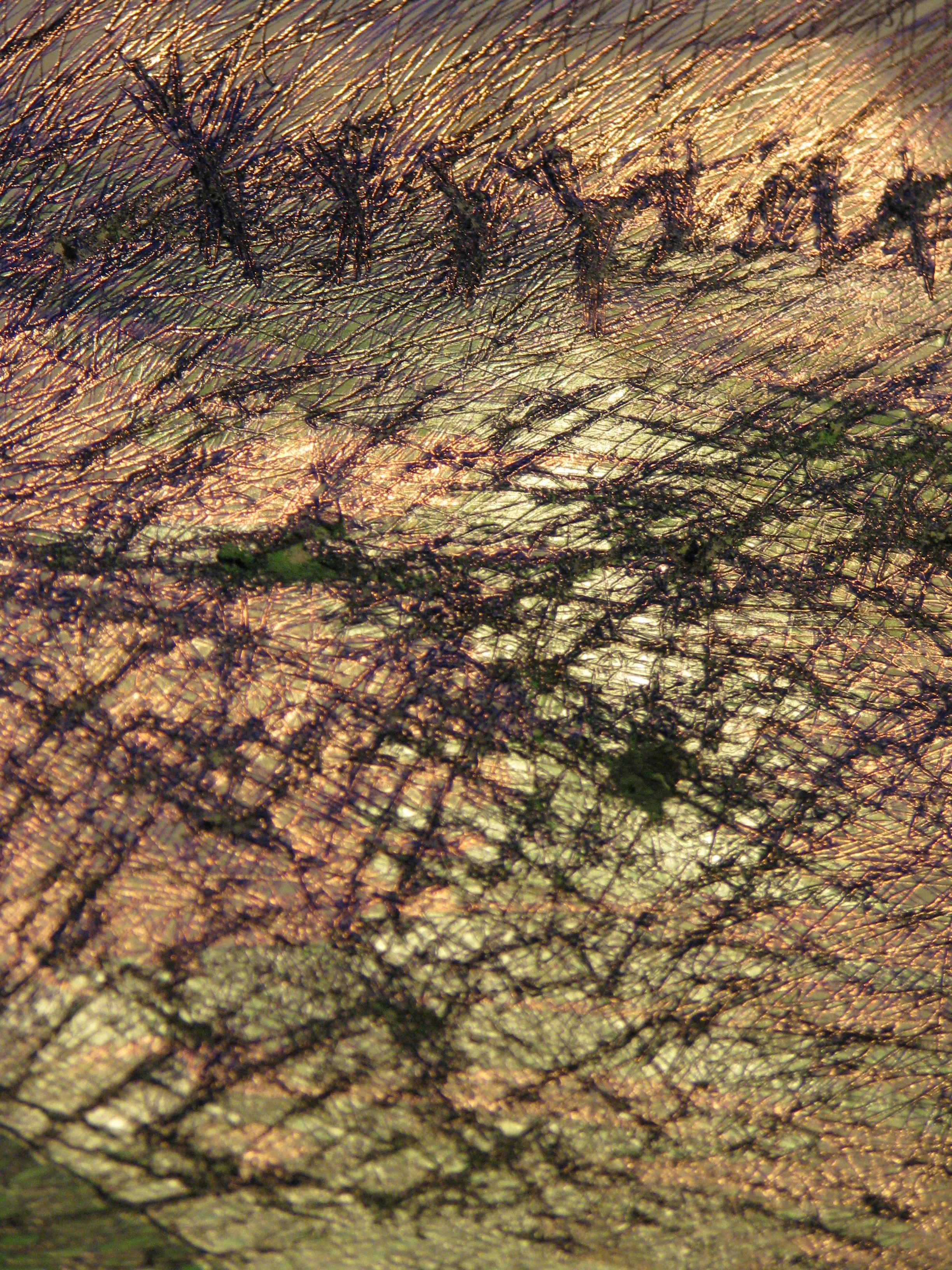 רישומים 3 073.jpg