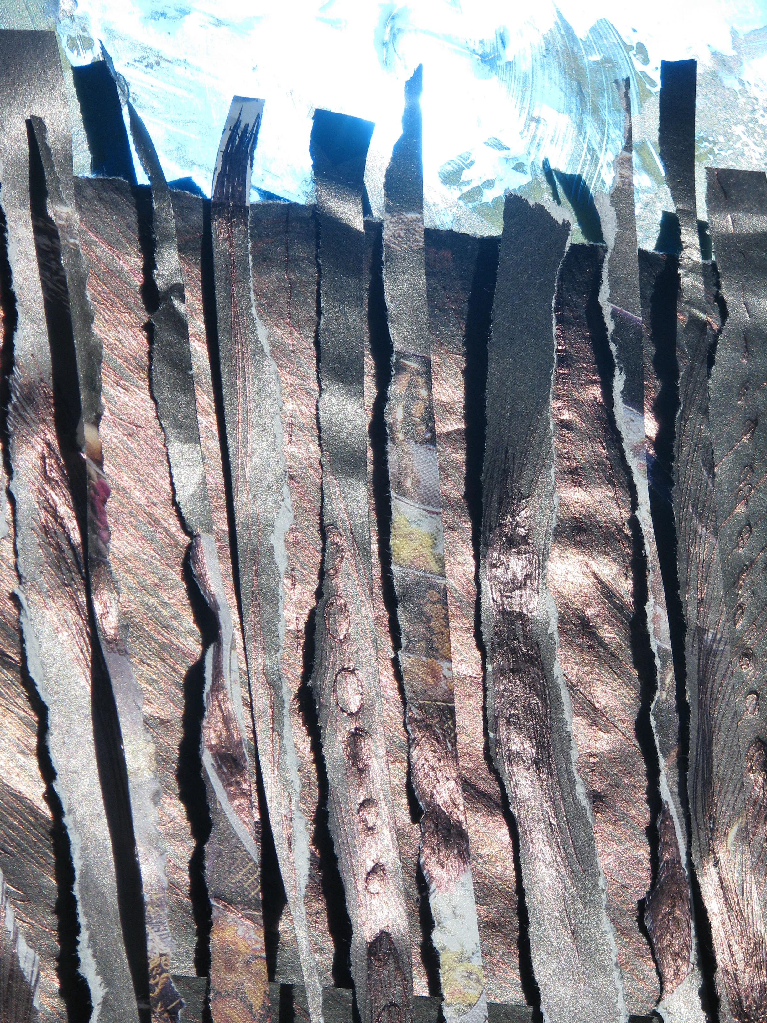 רורשך  2 084.jpg