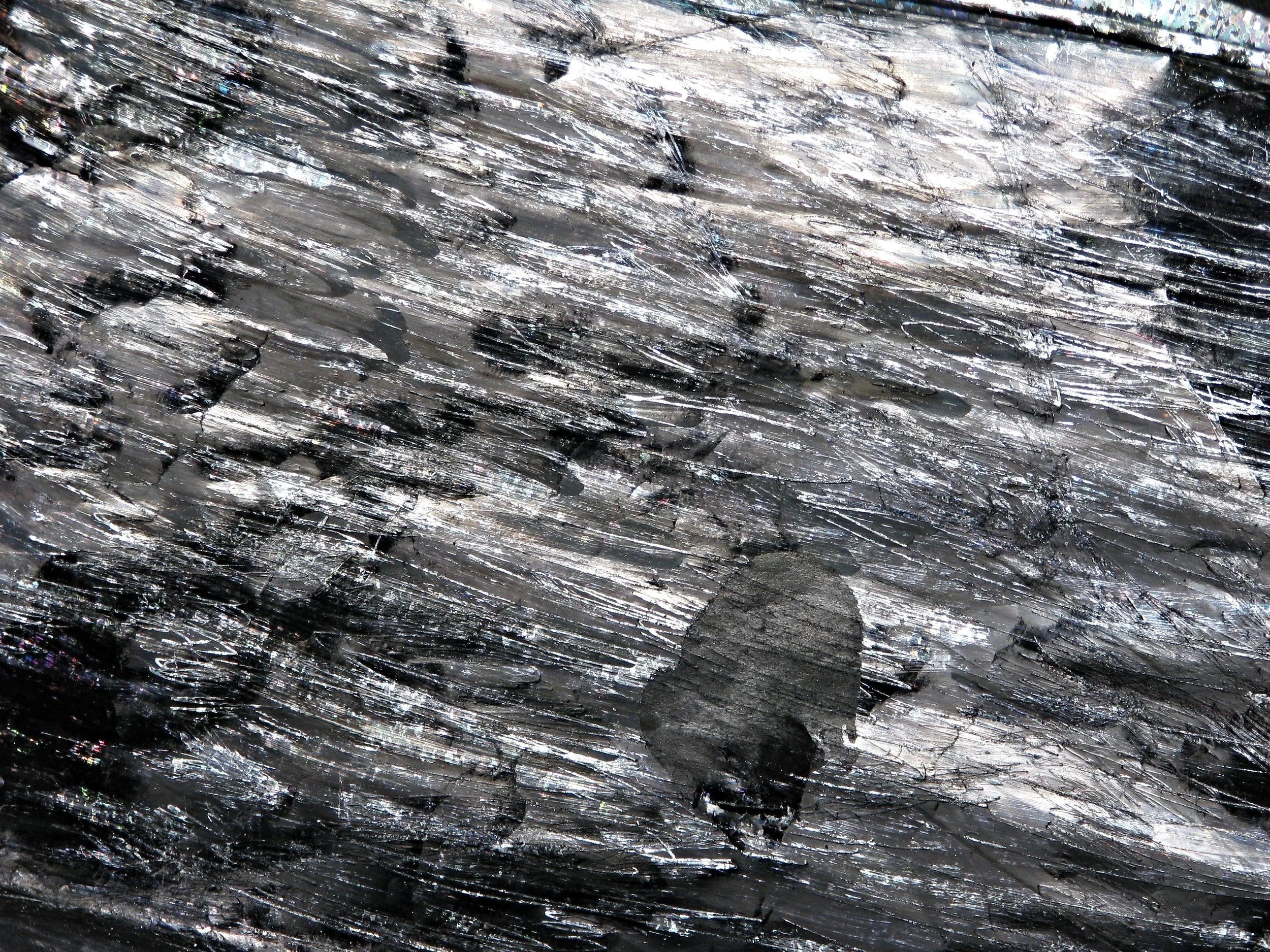 רורשך  2 037.jpg