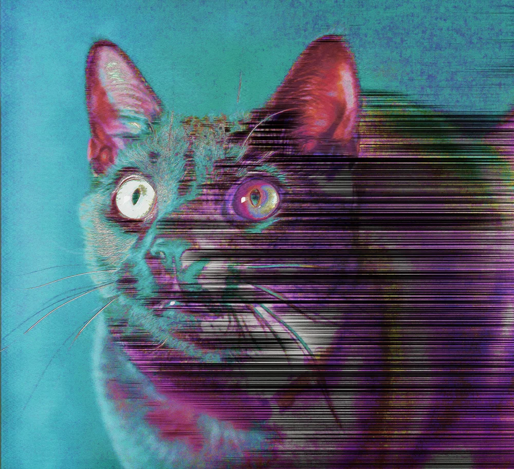 glitch-web.jpg