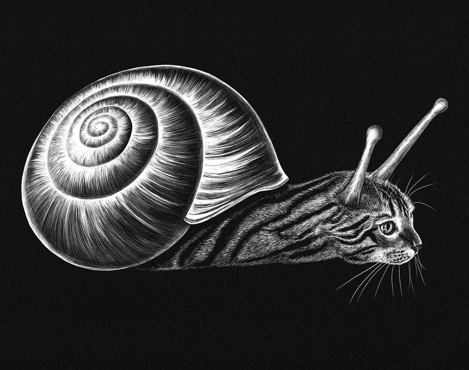 catsnail.jpg