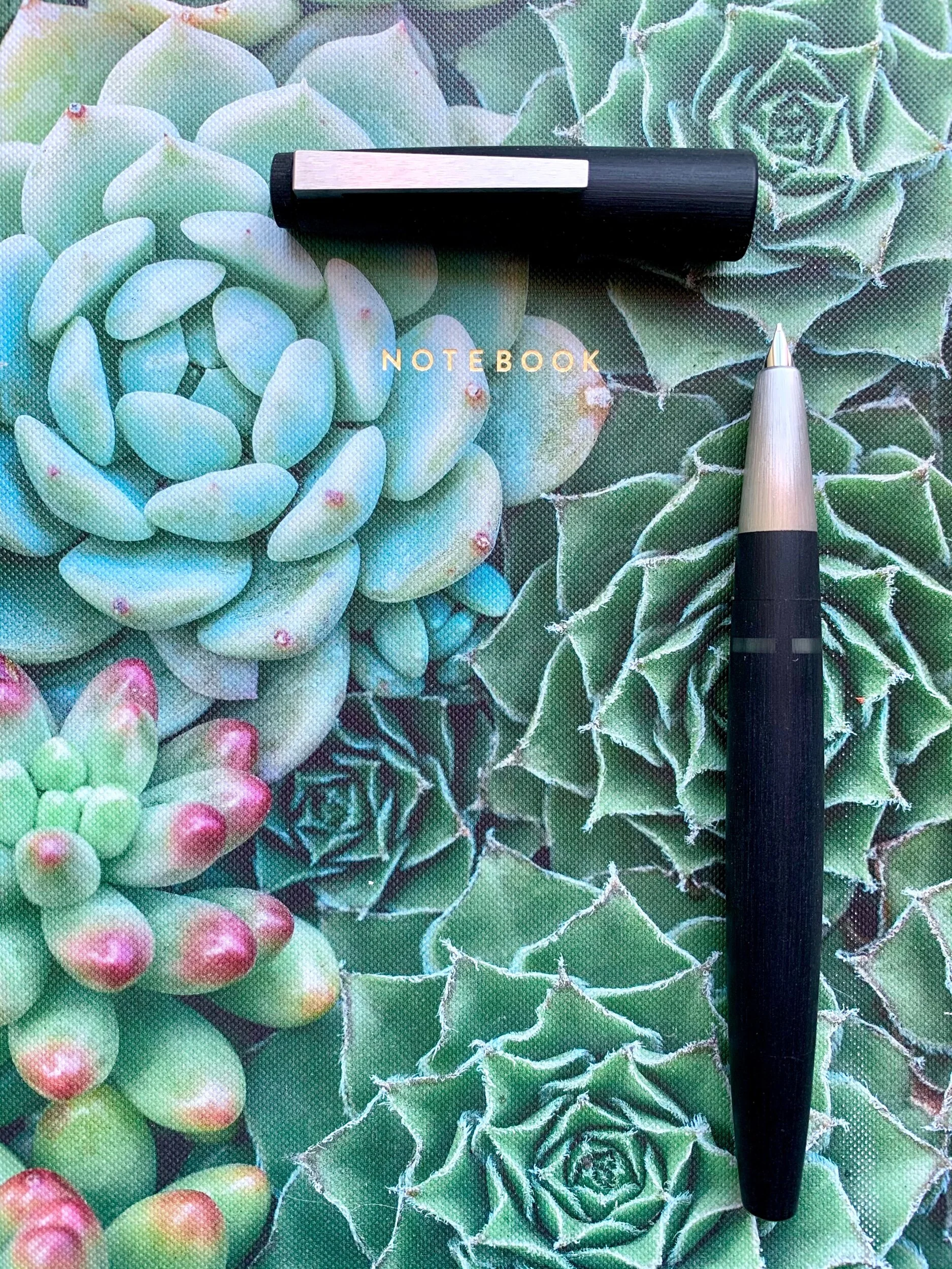 D6C4FFB0-8AEB-4B54-A9EC-69AF789C9E10