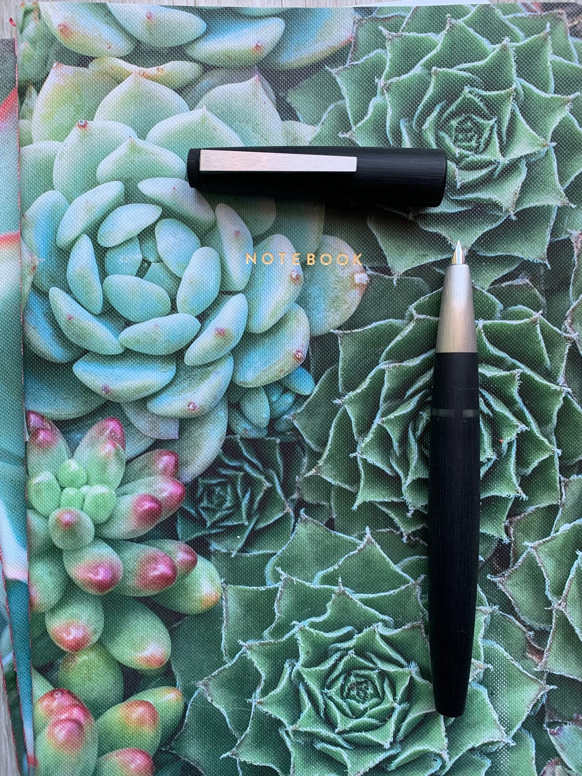 EC357ECB-E977-4C26-816D-CC57ADA446F9