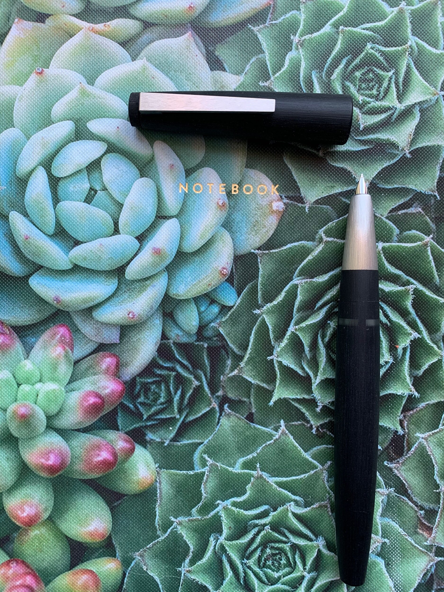 5C6D2B02-0F60-47F3-860B-0CAB68C3DEFE