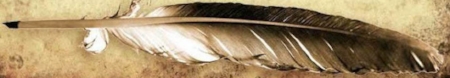 quill_horizonal .jpeg