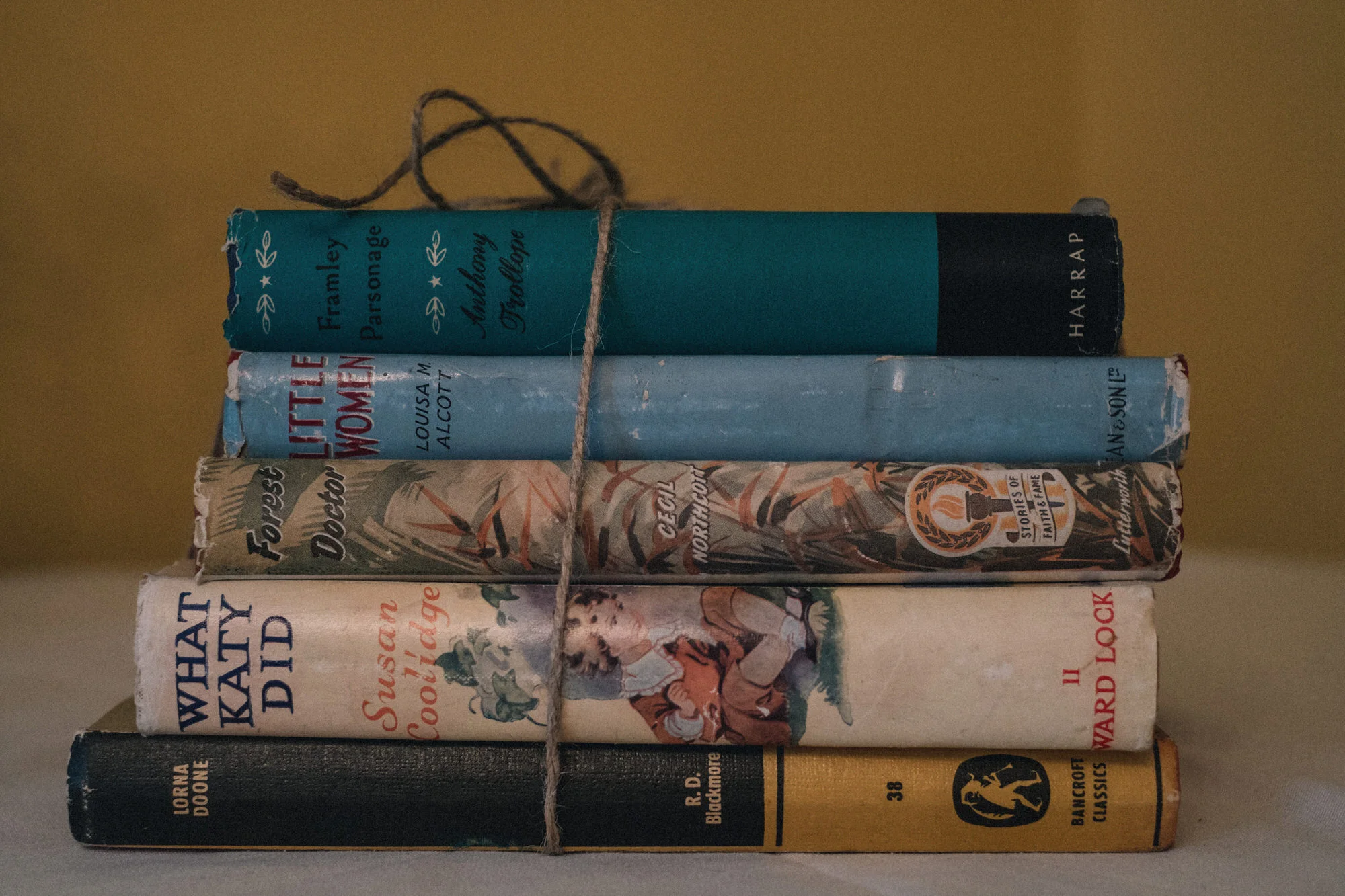 Bride & groom's favourite books tied together