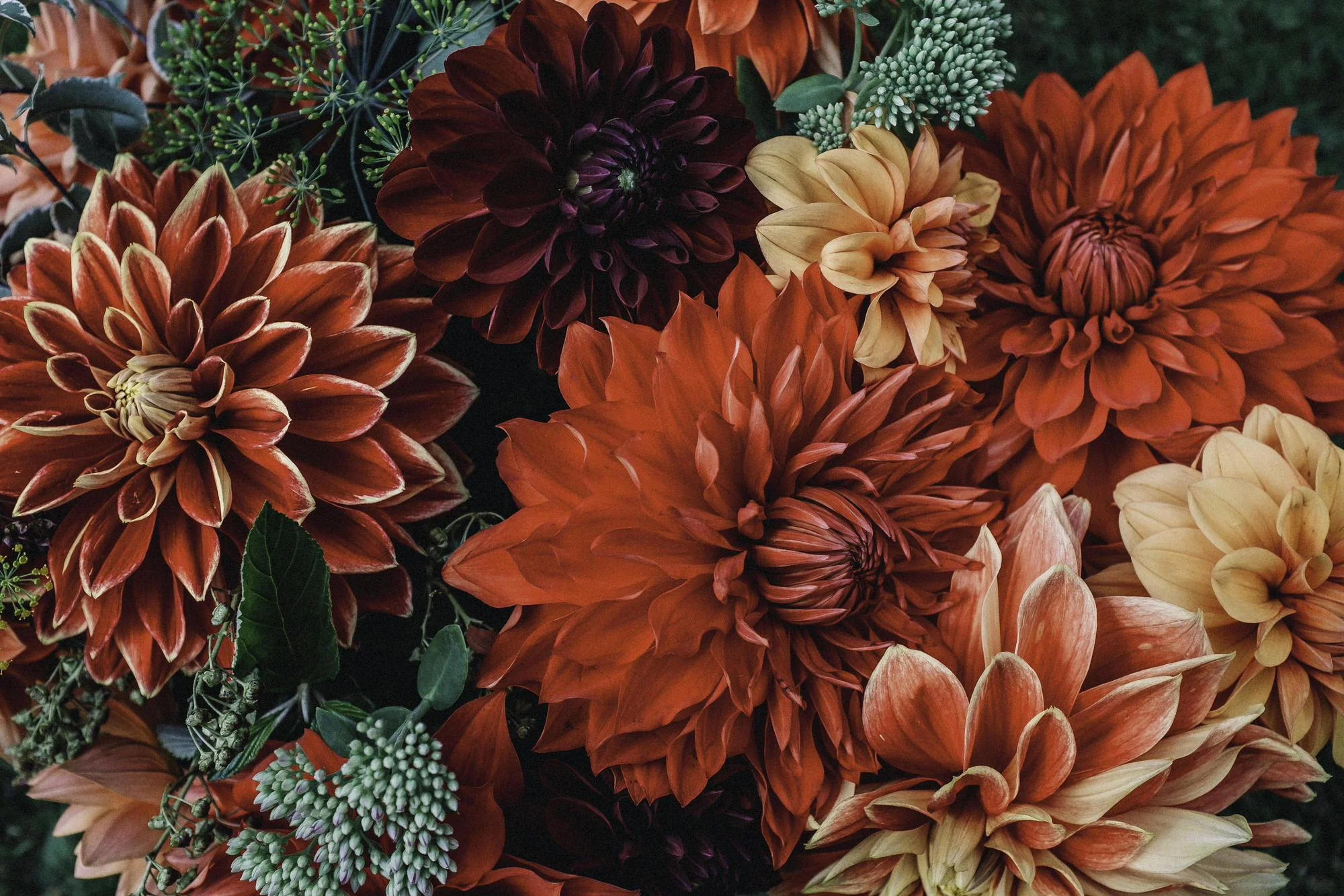 Close up of a colourful bridal bouquet