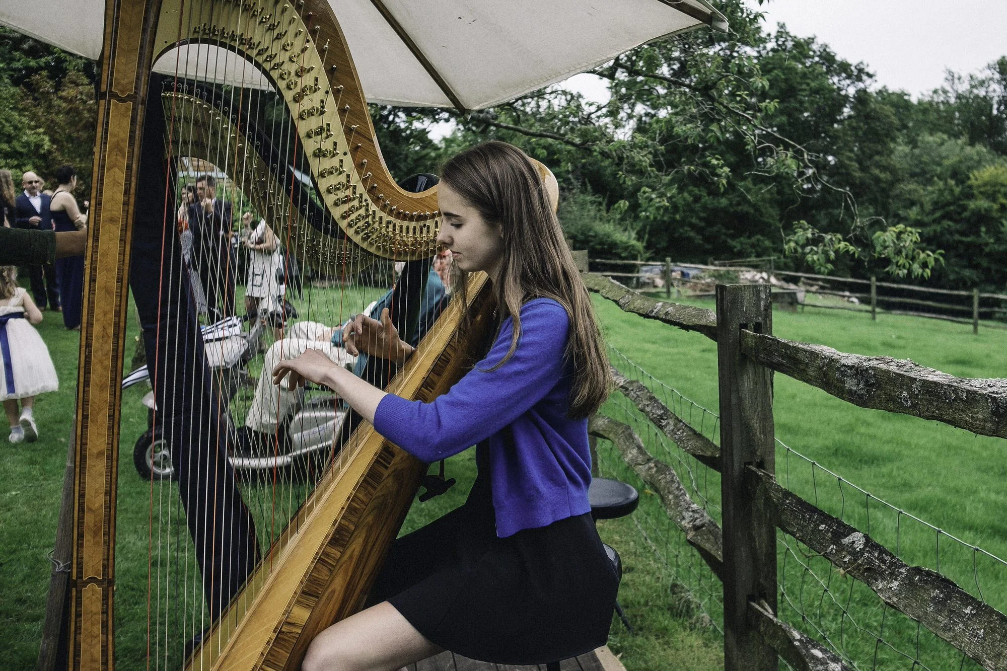 Harpist in garden