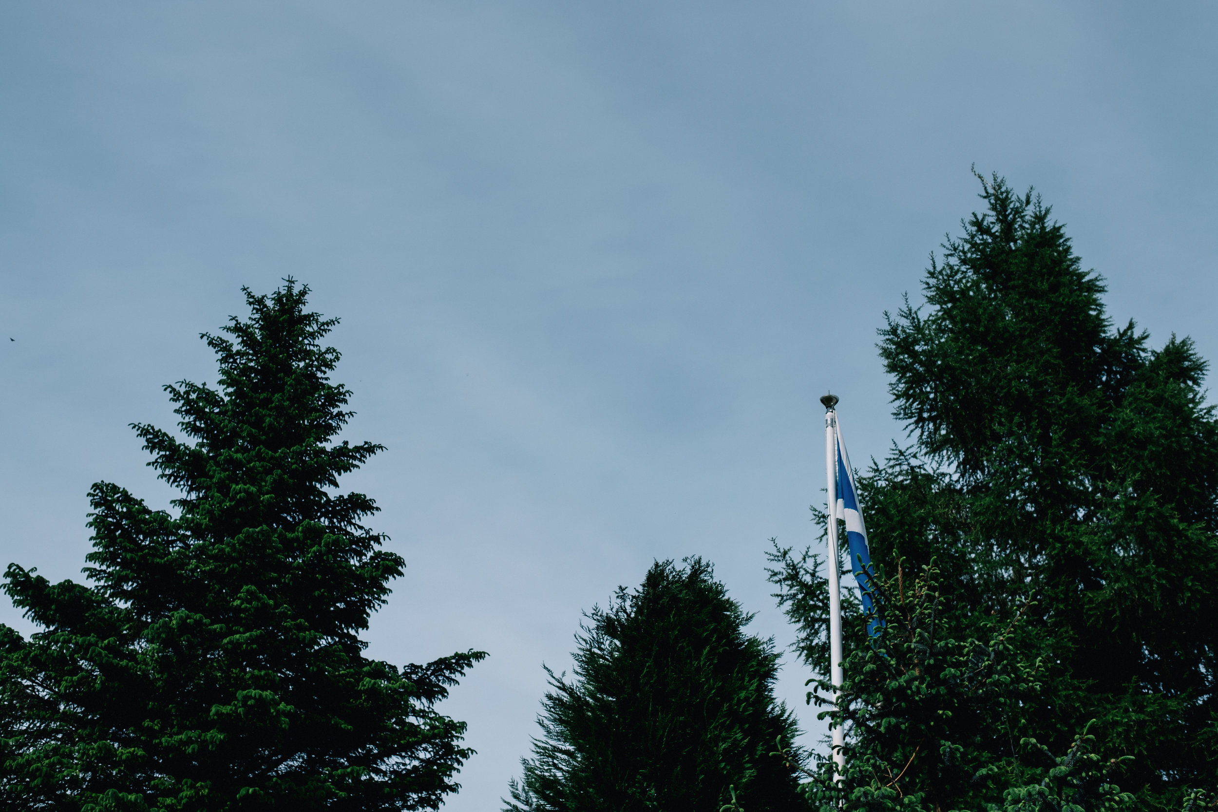 Trees and Scottish flag