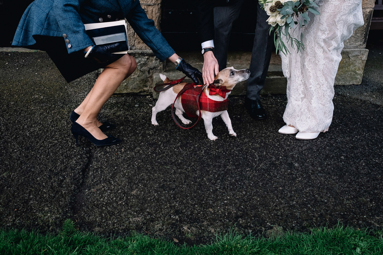  terrier wears tartan coat on winter wedding day 