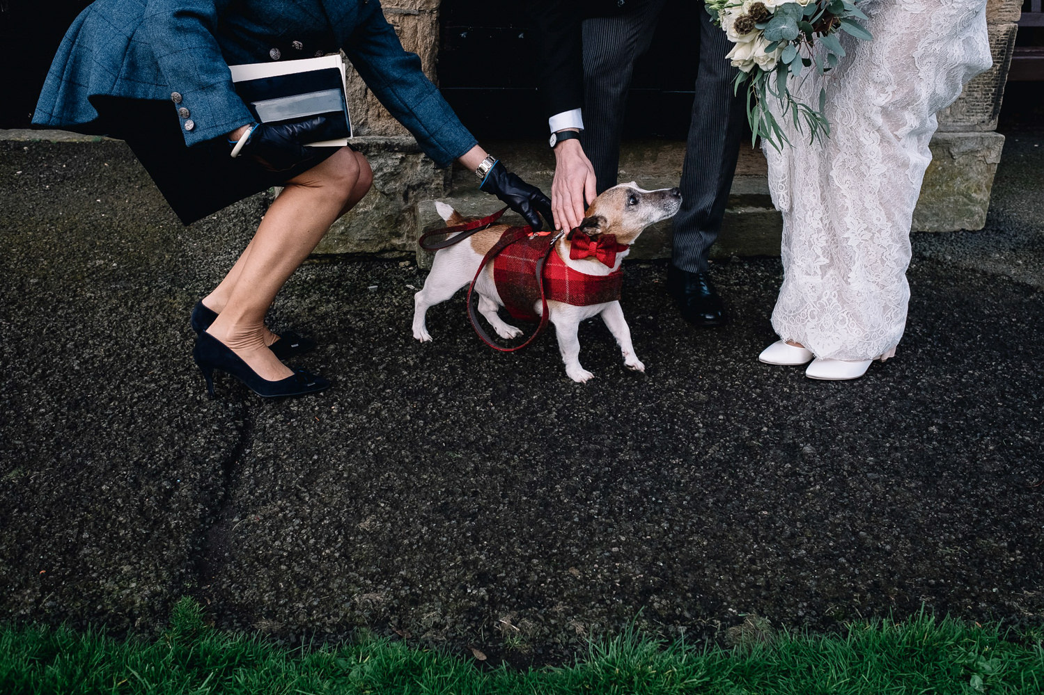 terrier wears tartan coat on winter wedding day