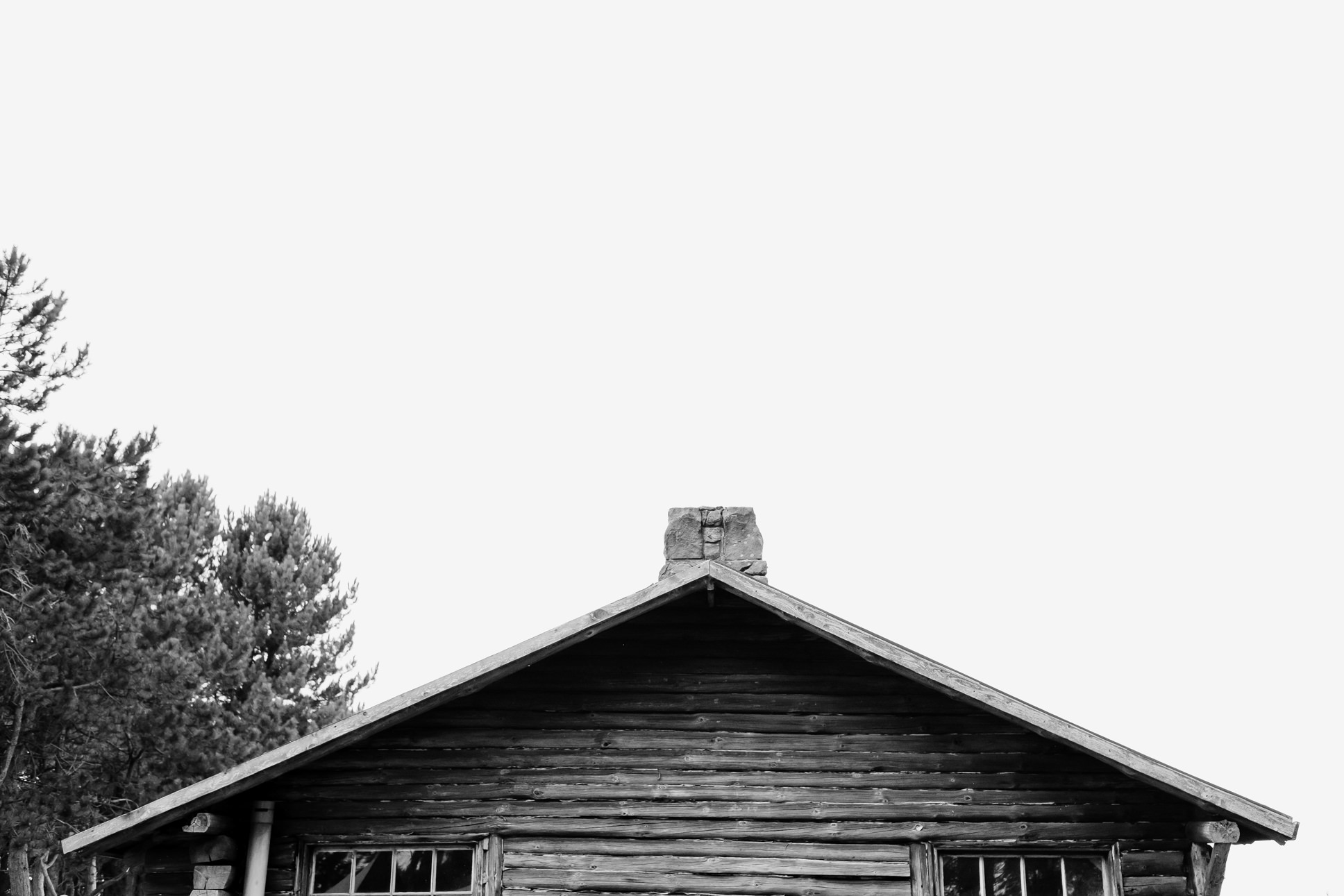  Black and white photograph of the top of the log cabin at Ravensheugh, Dubar. 