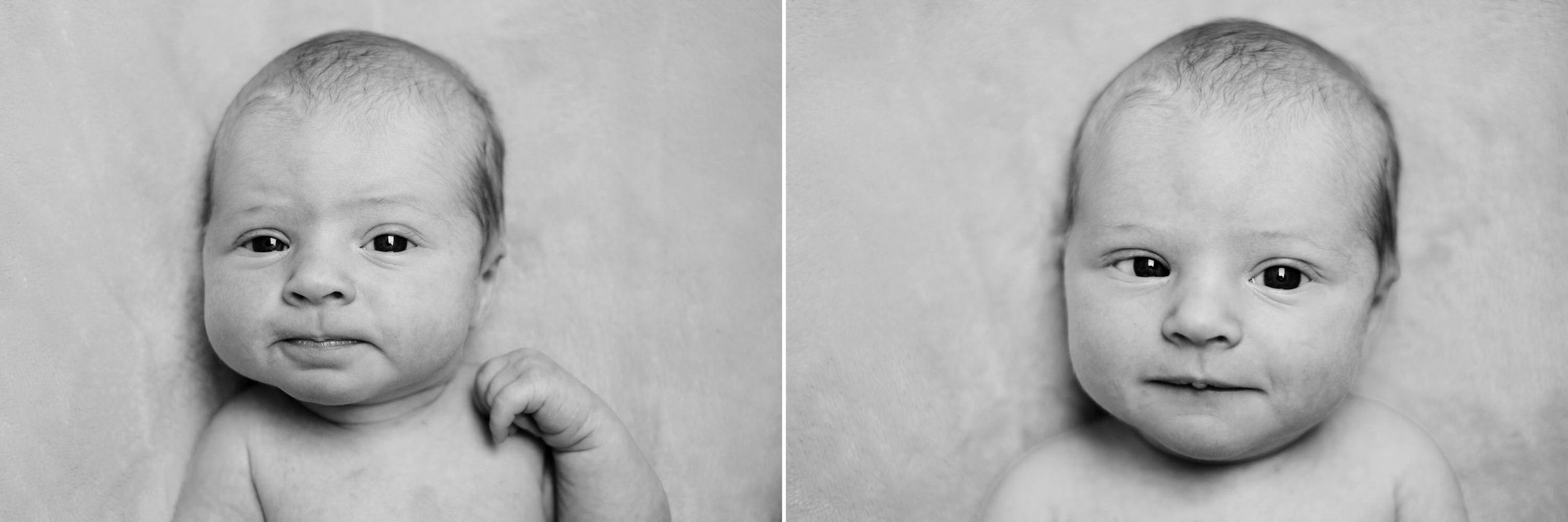 A baby is looking at the camera and is only 2 weeks old.