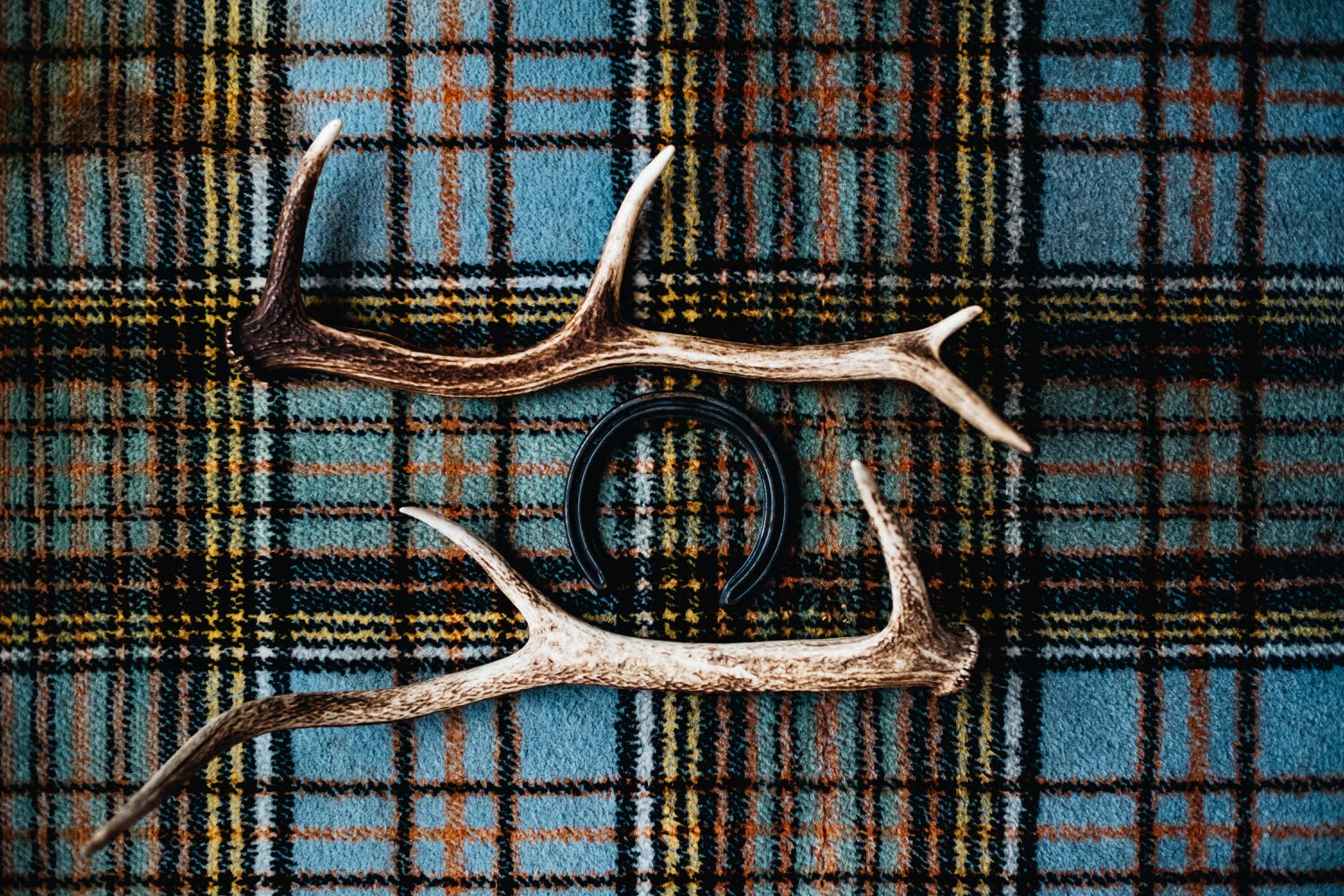 Antlers are on tartan carpet.