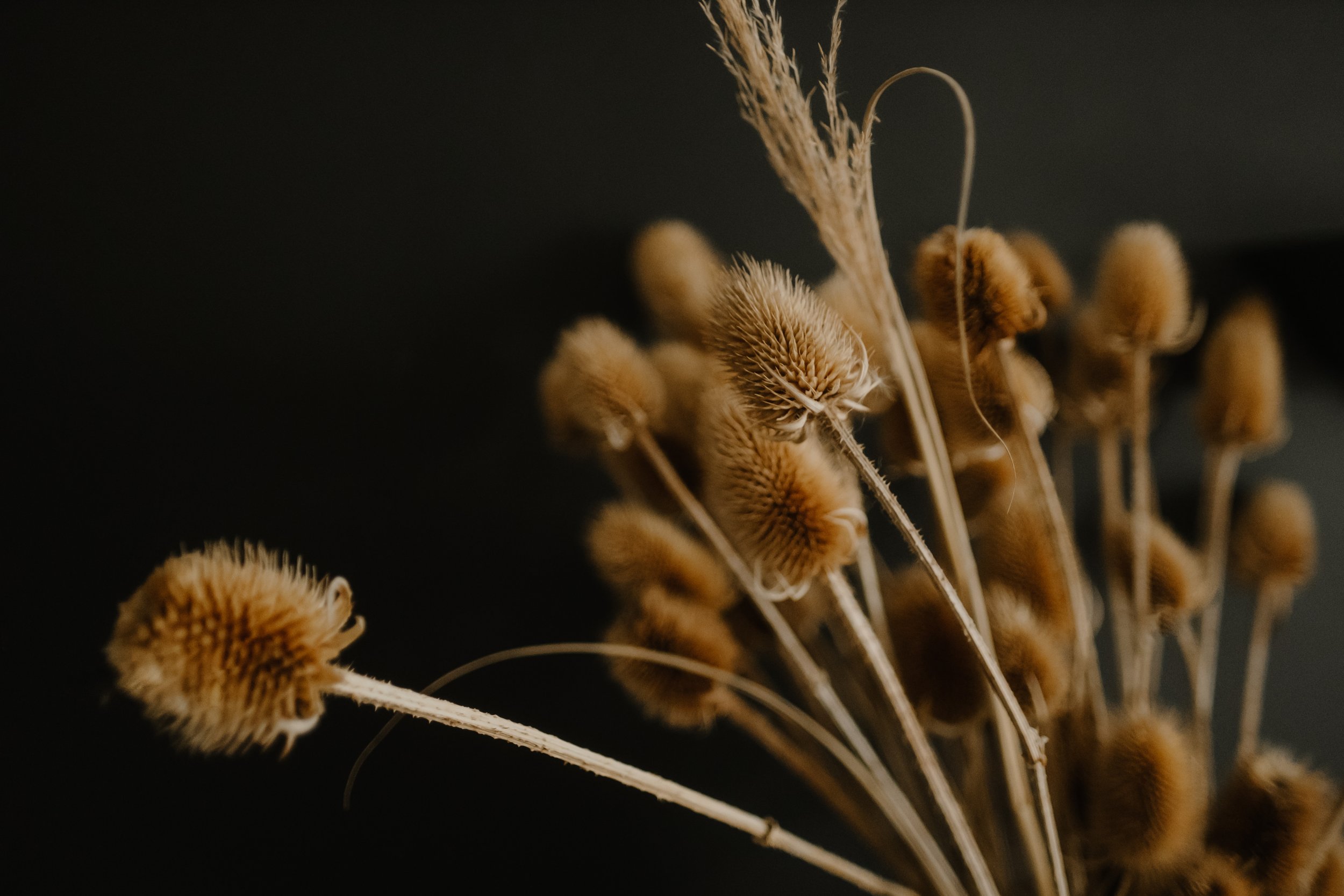 040-2023-11-04 Conor + Stacey-RAWS.JPG