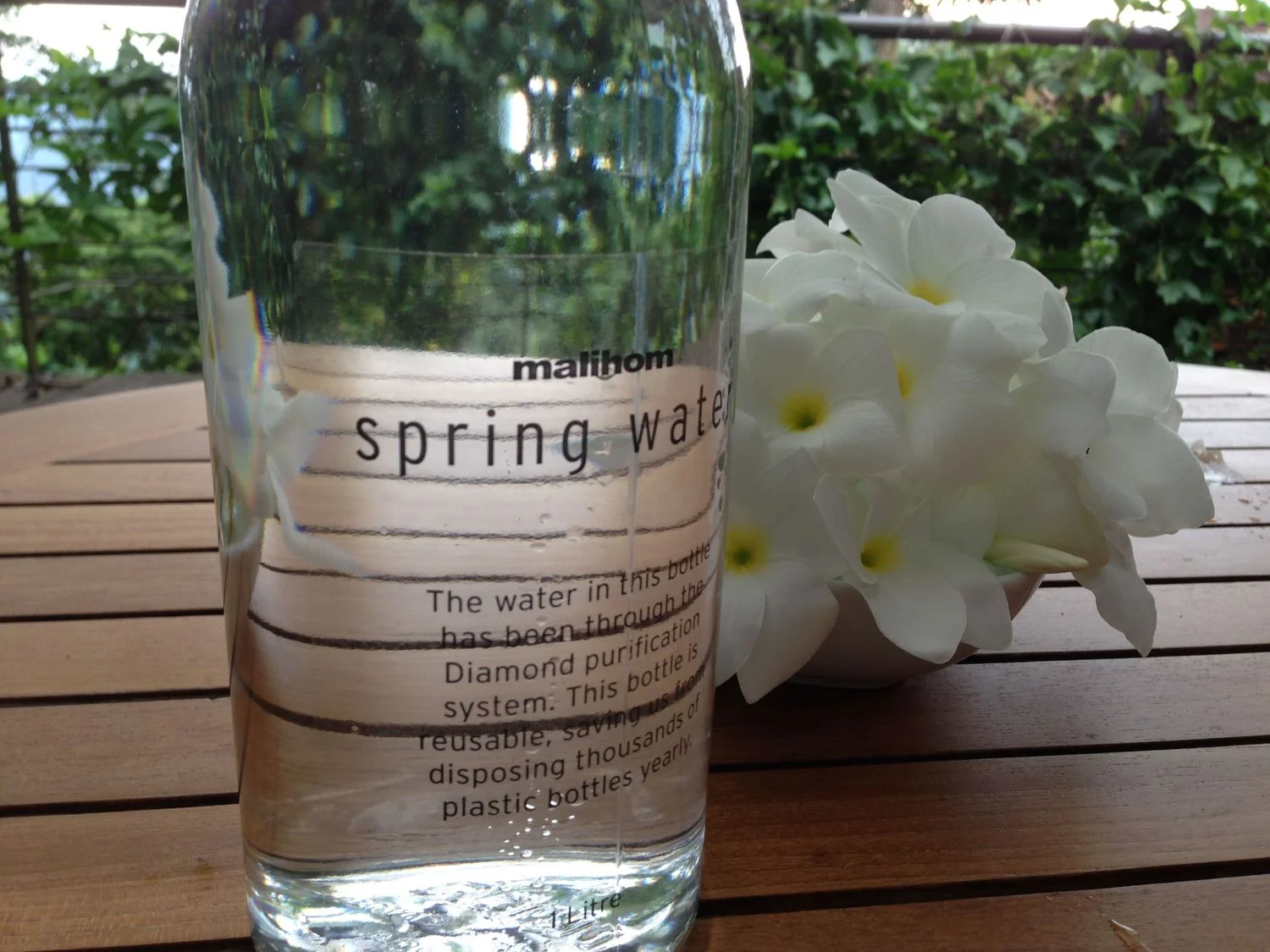 spring+water.jpg