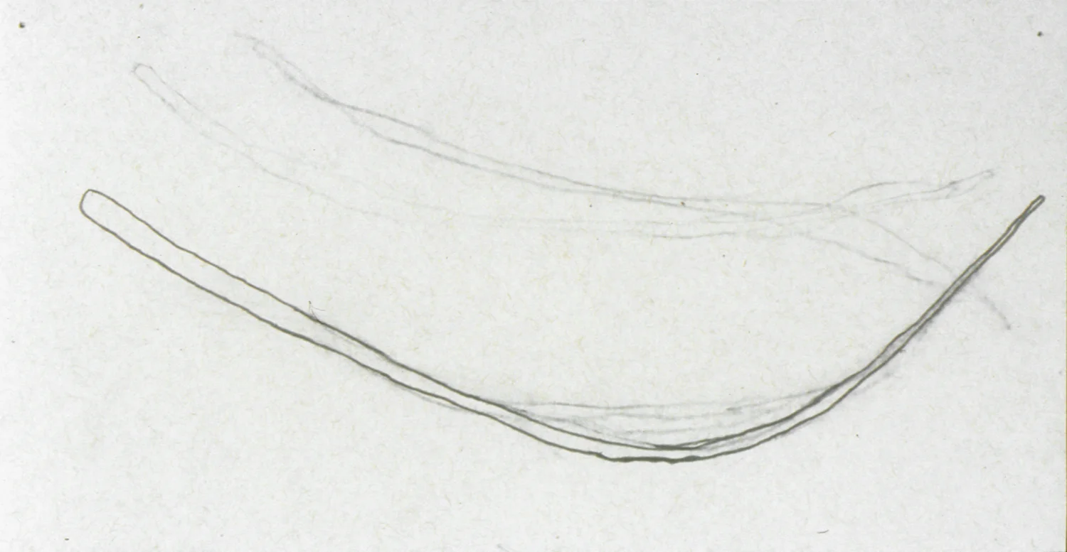drawing-#1-web.jpg