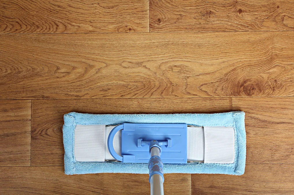 floor mop 1.jpg