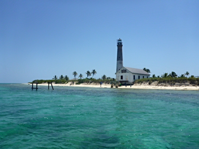 Loggerheadkey