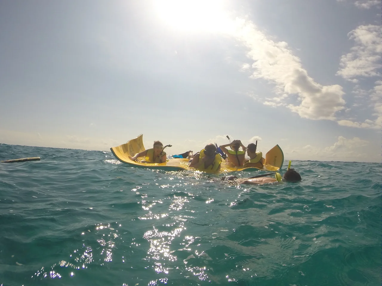 Aqua Lily Pad - Our Super Water Fun Toy