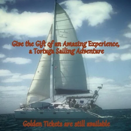 Sailing Experiences are Fantastic Gifts
